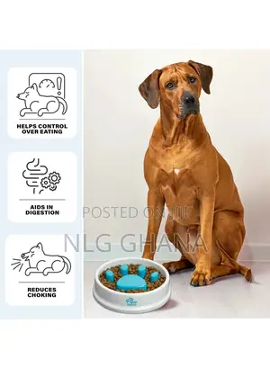 Large Capacity Dog Cat Paw Maze Design Slow Feeder. Ghx2932