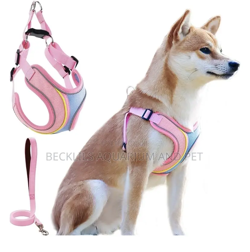 Quality Harness With Leash