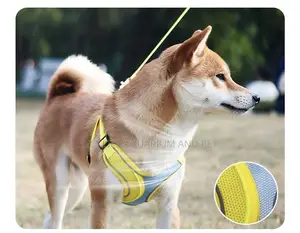 Quality Harness With Leash