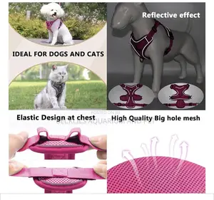 Grade a Quality Dog Harness