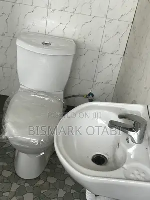 Professional Plumbing Service