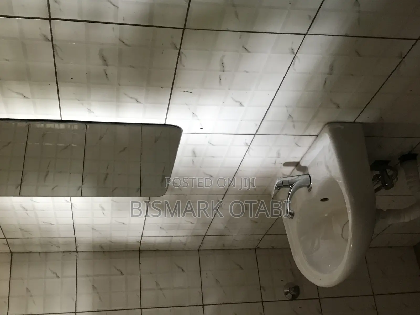 Professional Plumbing Service