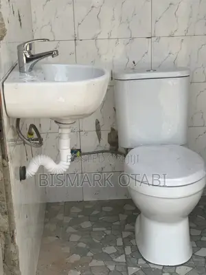 Professional Plumbing Service