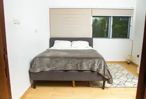 Furnished 4bdrm Townhouse / Terrace in Winsconsin, North Legon for rent