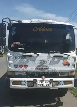 Hyundai Gold 5 Ton