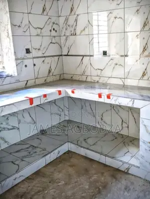 Good Professional Master Tiler