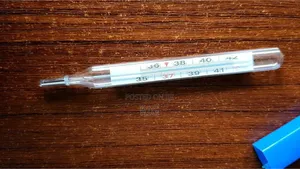 Mercury-Free Clinical Thermometer