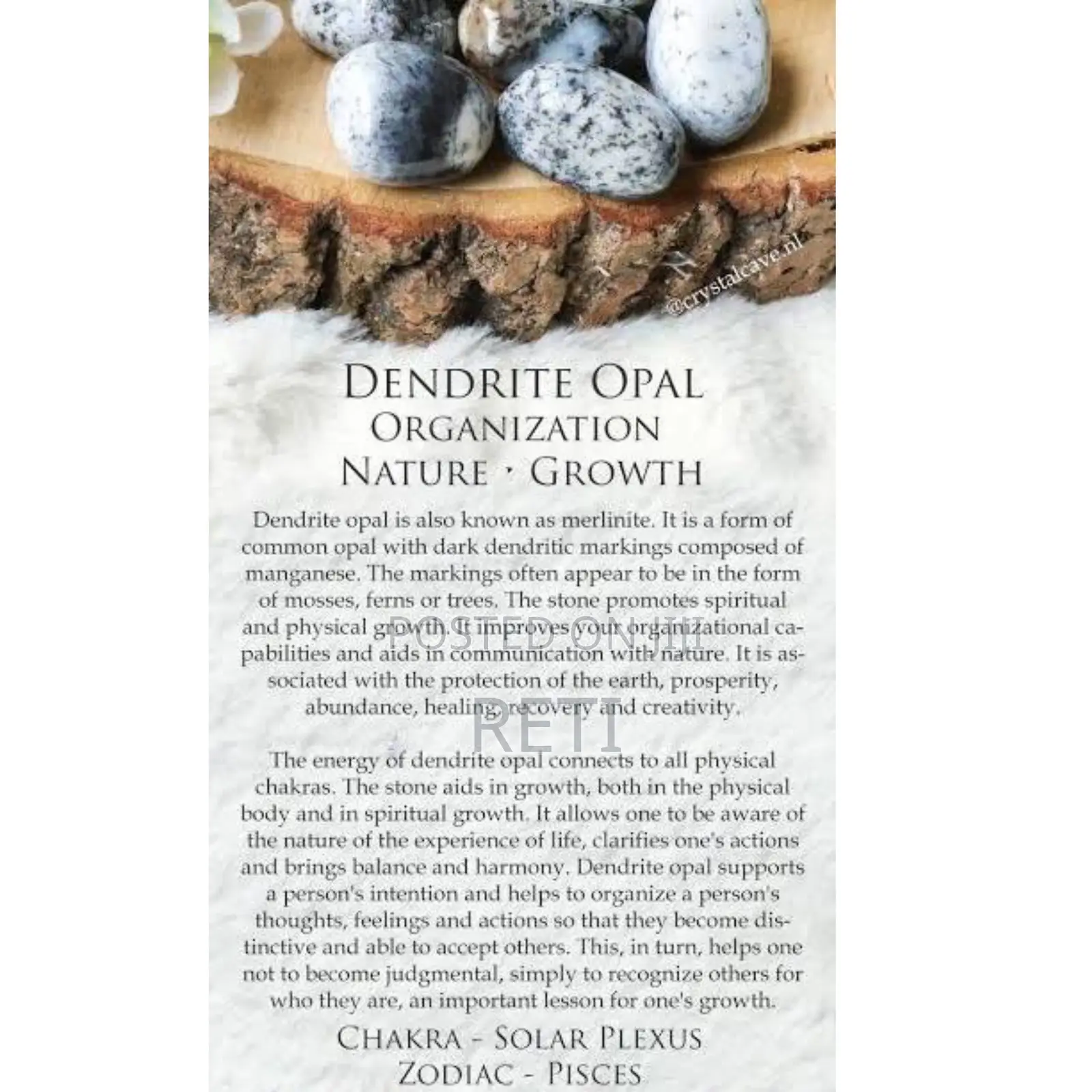 Dendritic Opal Merlinite