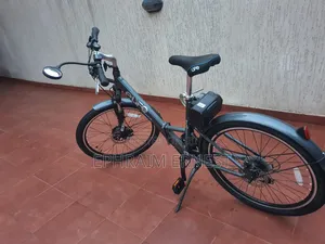 Electri Bike 2024 Gray