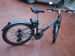 Electri Bike 2024 Gray