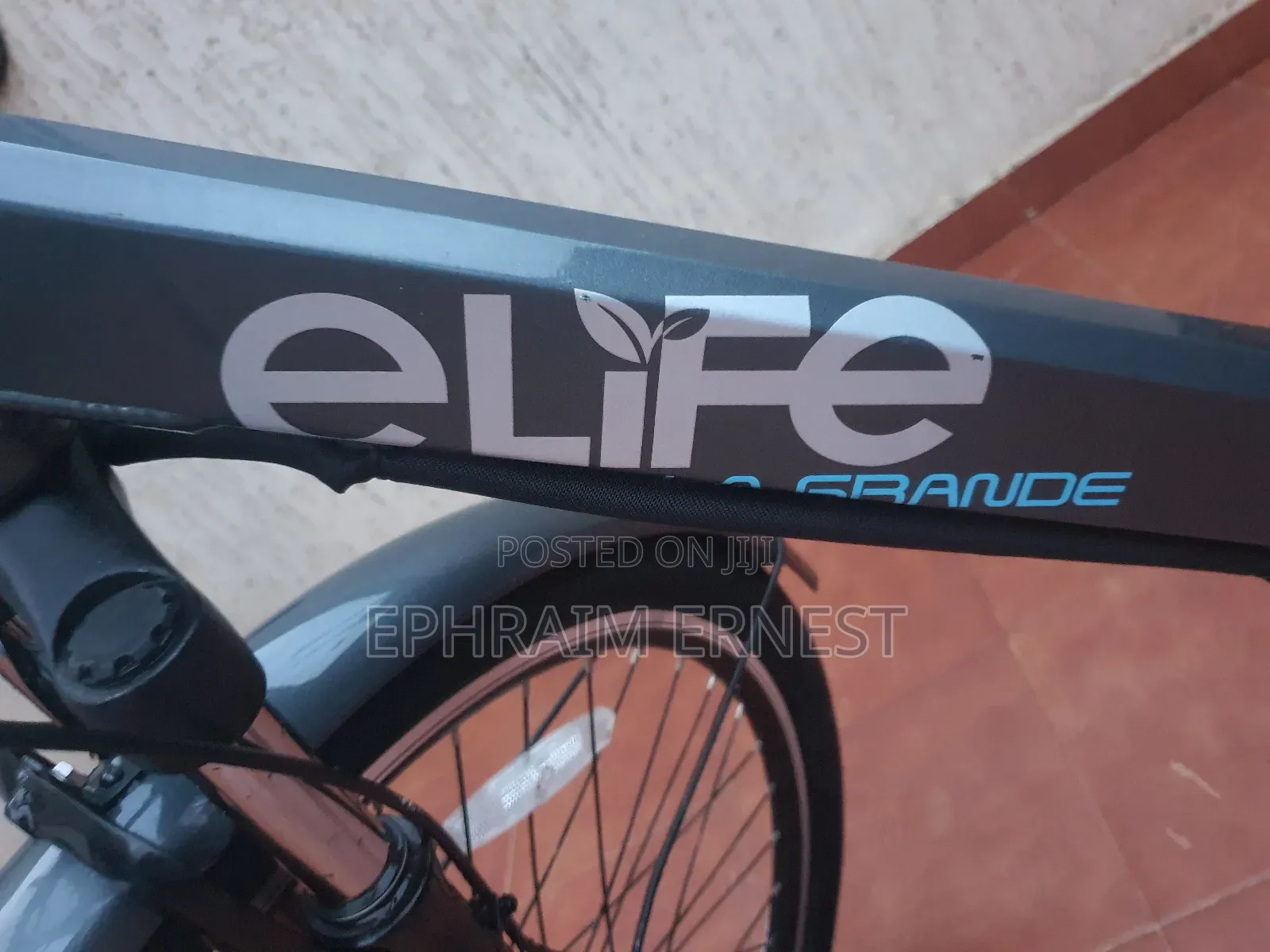 Electri Bike 2024 Gray