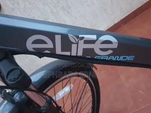 Electri Bike 2024 Gray