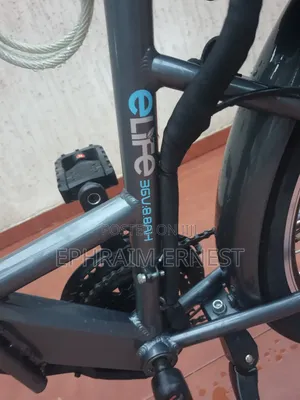 Electri Bike 2024 Gray
