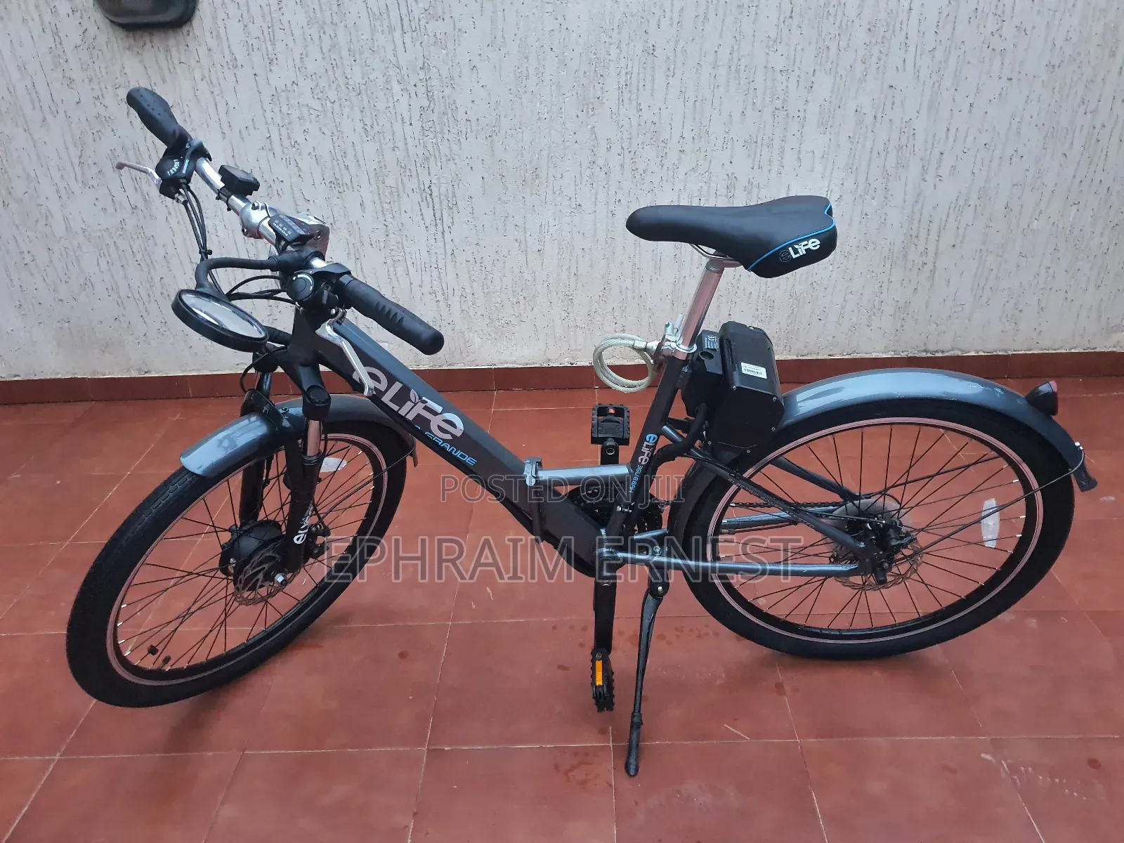 Electri Bike 2024 Gray