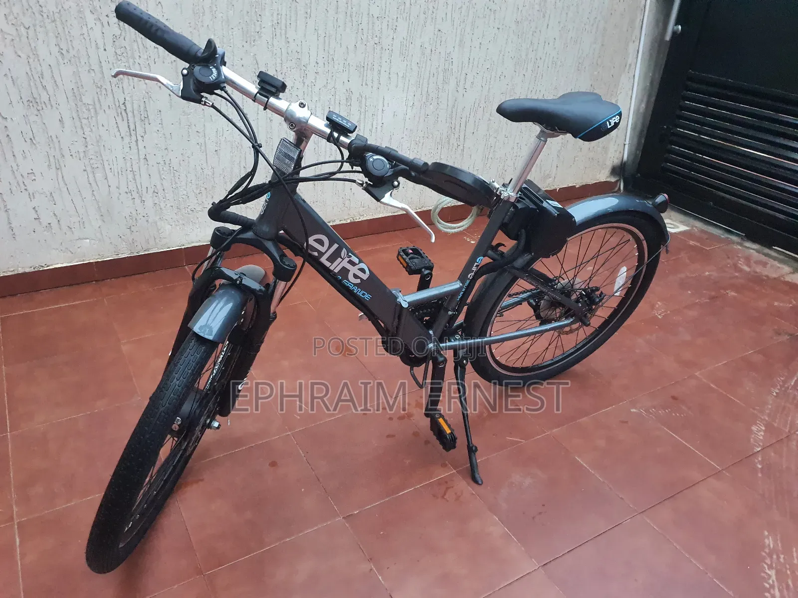Electri Bike 2024 Gray
