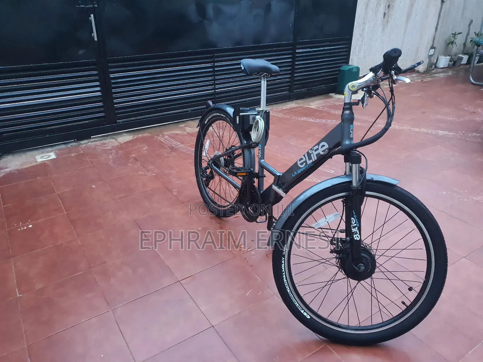 Electri Bike 2024 Gray
