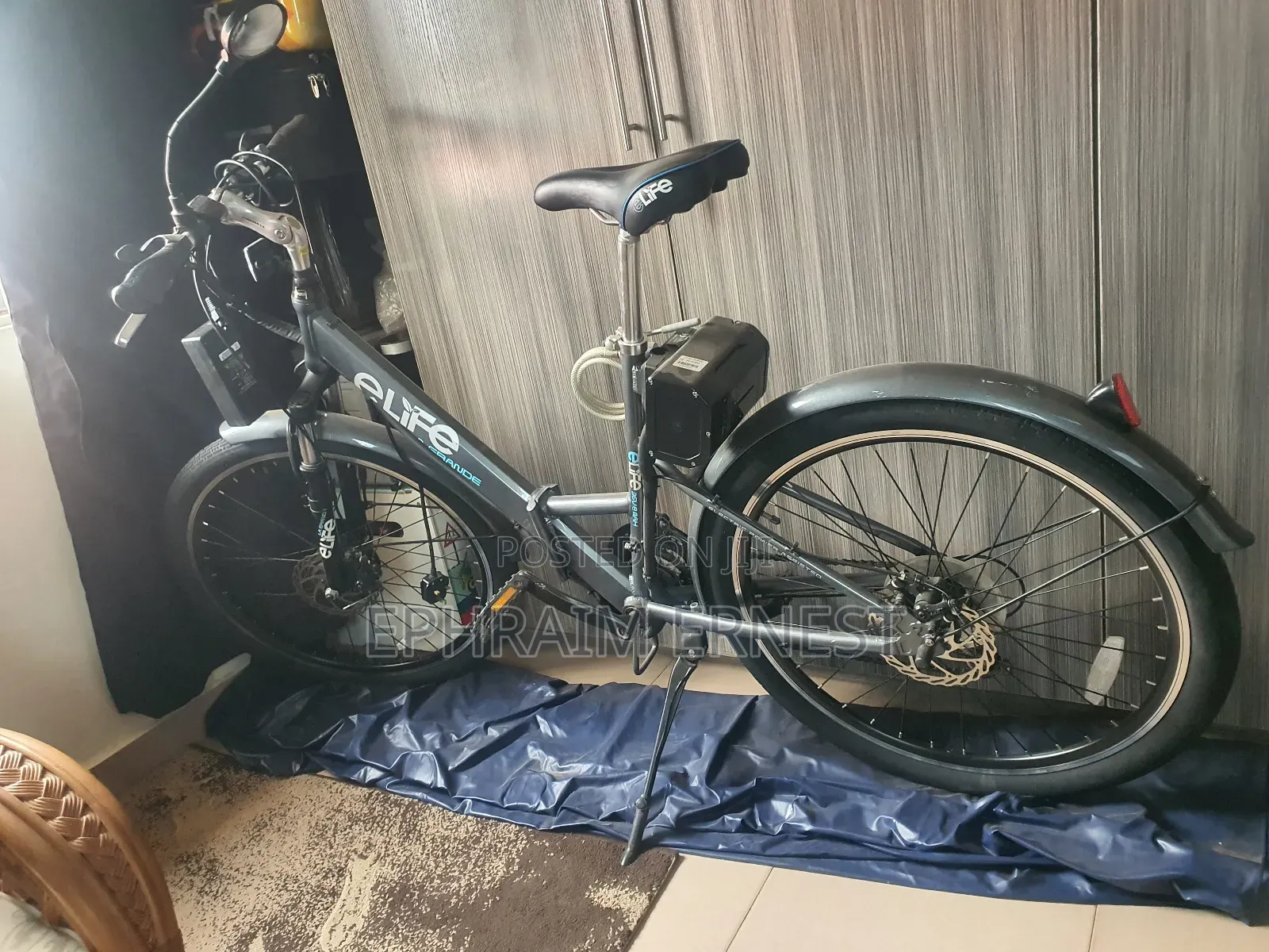 Electri Bike 2024 Gray