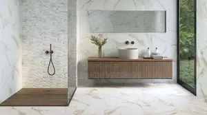 Matte Floor Tile (60*120cm)