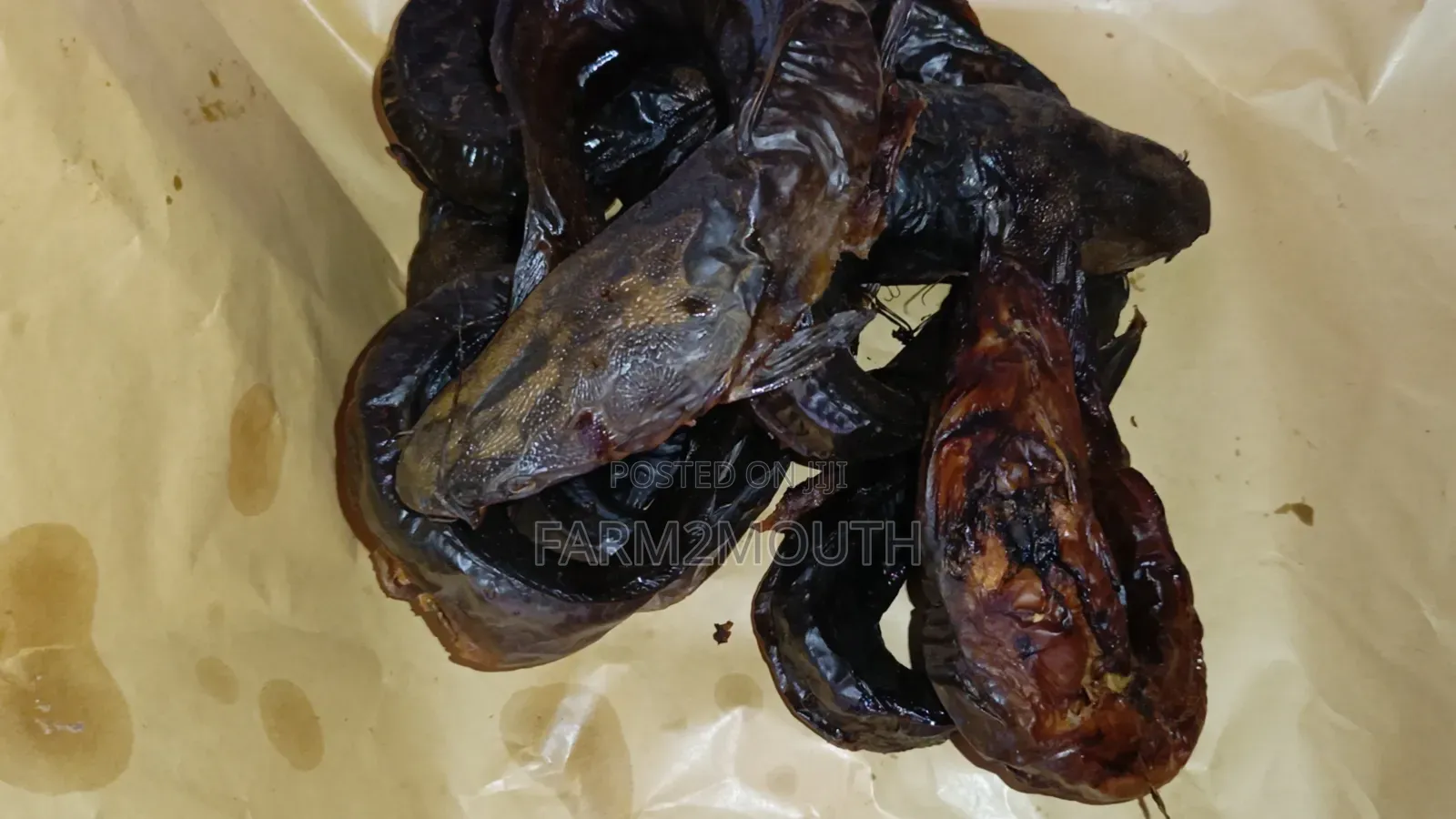 Catfish Smoked and Live