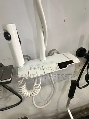 European Temperature Reason Shower_smart Bathroom Shower_piano Shower