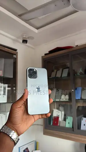 Apple iPhone 12 Pro Max 256 GB Silver