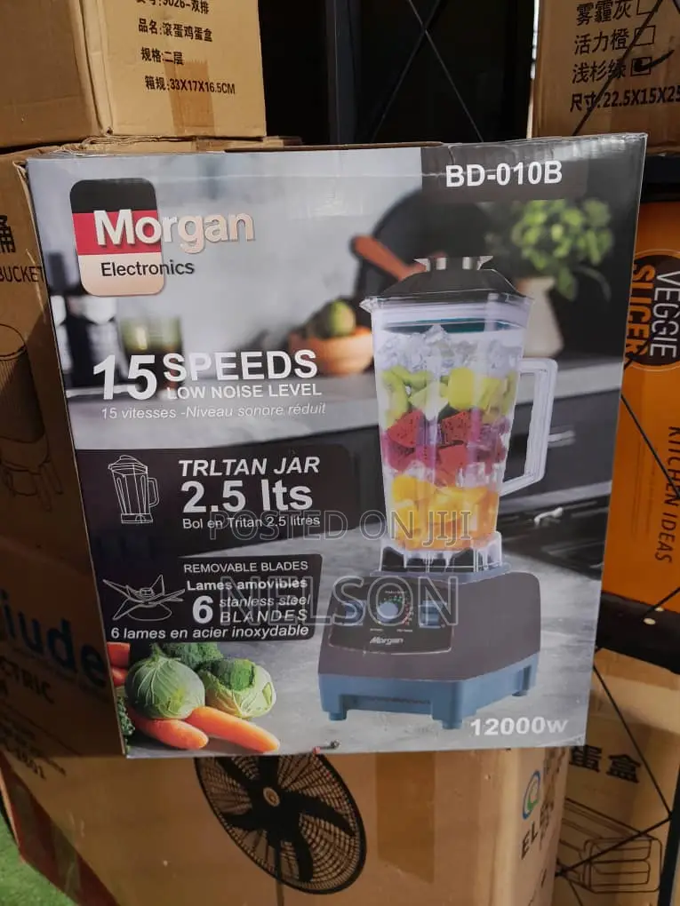 Morgan Bd-010b Professional Blender