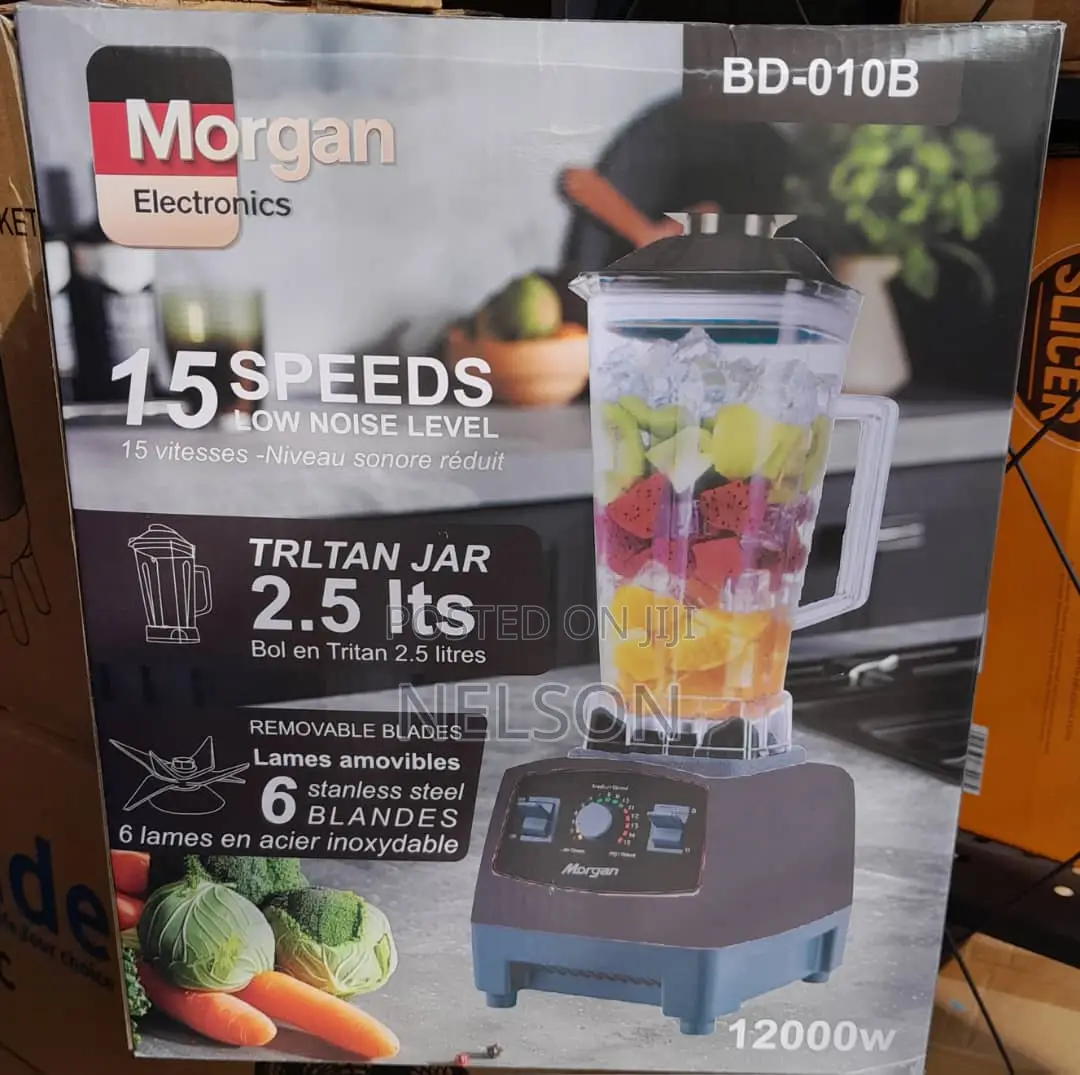 Morgan Bd-010b Professional Blender