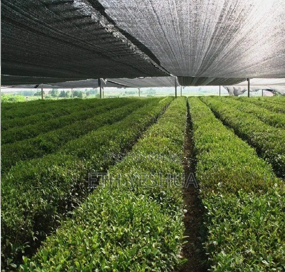 Shade Net for Greenhouse