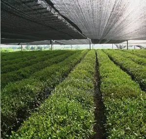 Shade Net for Greenhouse