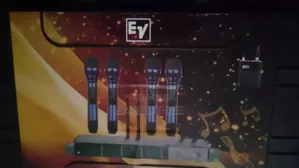 4 in 1 Wireless Microphone