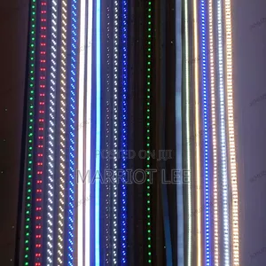 Rope Light + Neon Strip Lights 100m