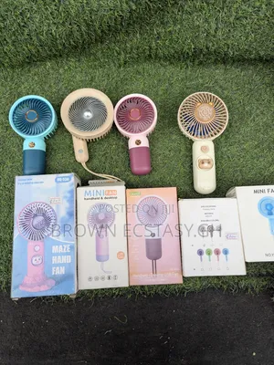 Mini Fan (80 Cedis Each)