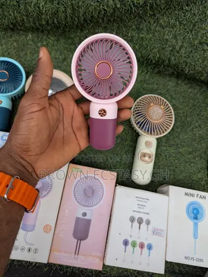 Mini Fan (80 Cedis Each)