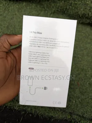 Apple Type C to Lightning Charger