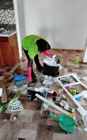 Professional Deep Cleaning by Gibeon PFM