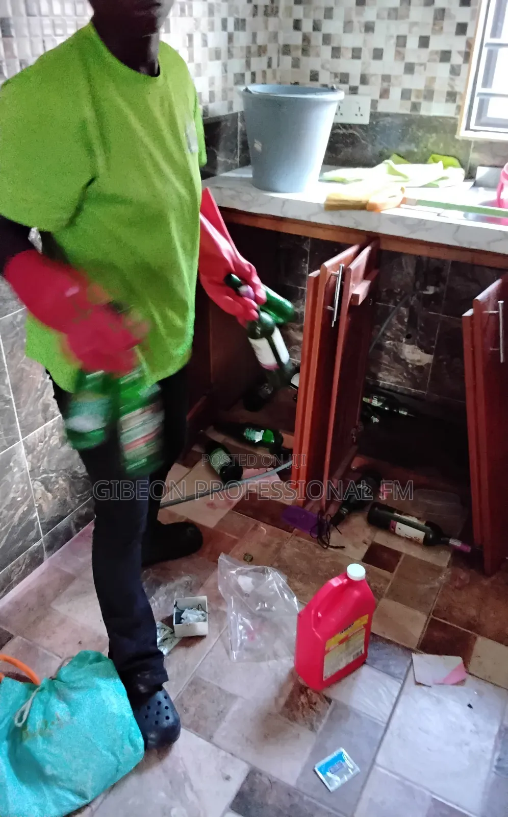 Professional Deep Cleaning by Gibeon PFM