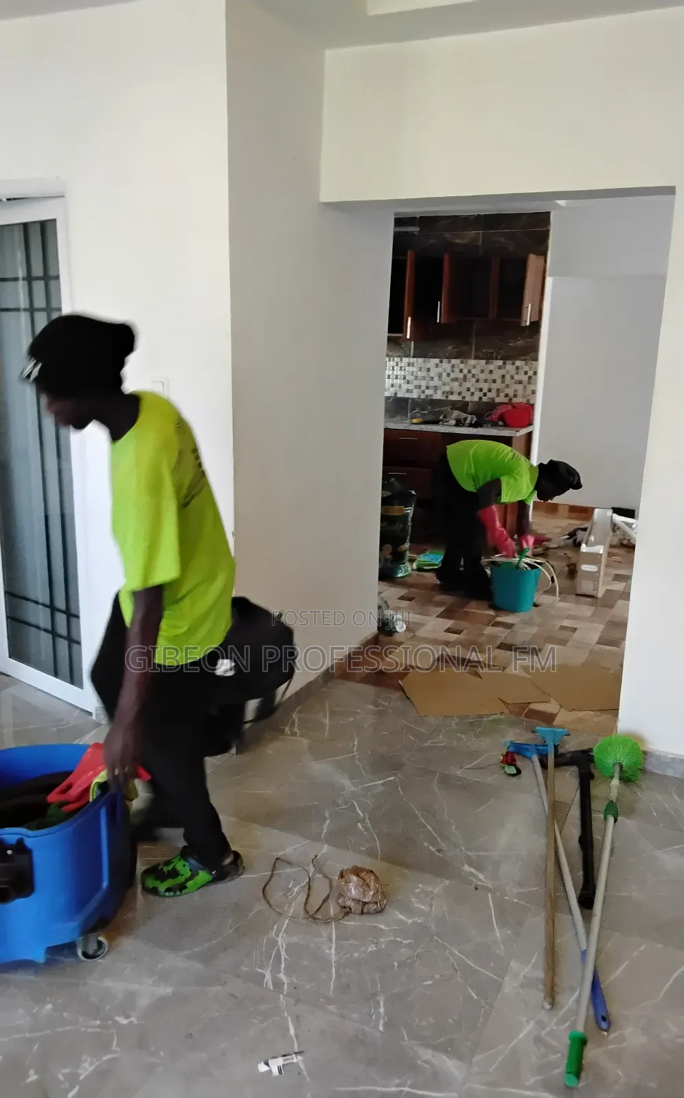Professional Deep Cleaning by Gibeon PFM
