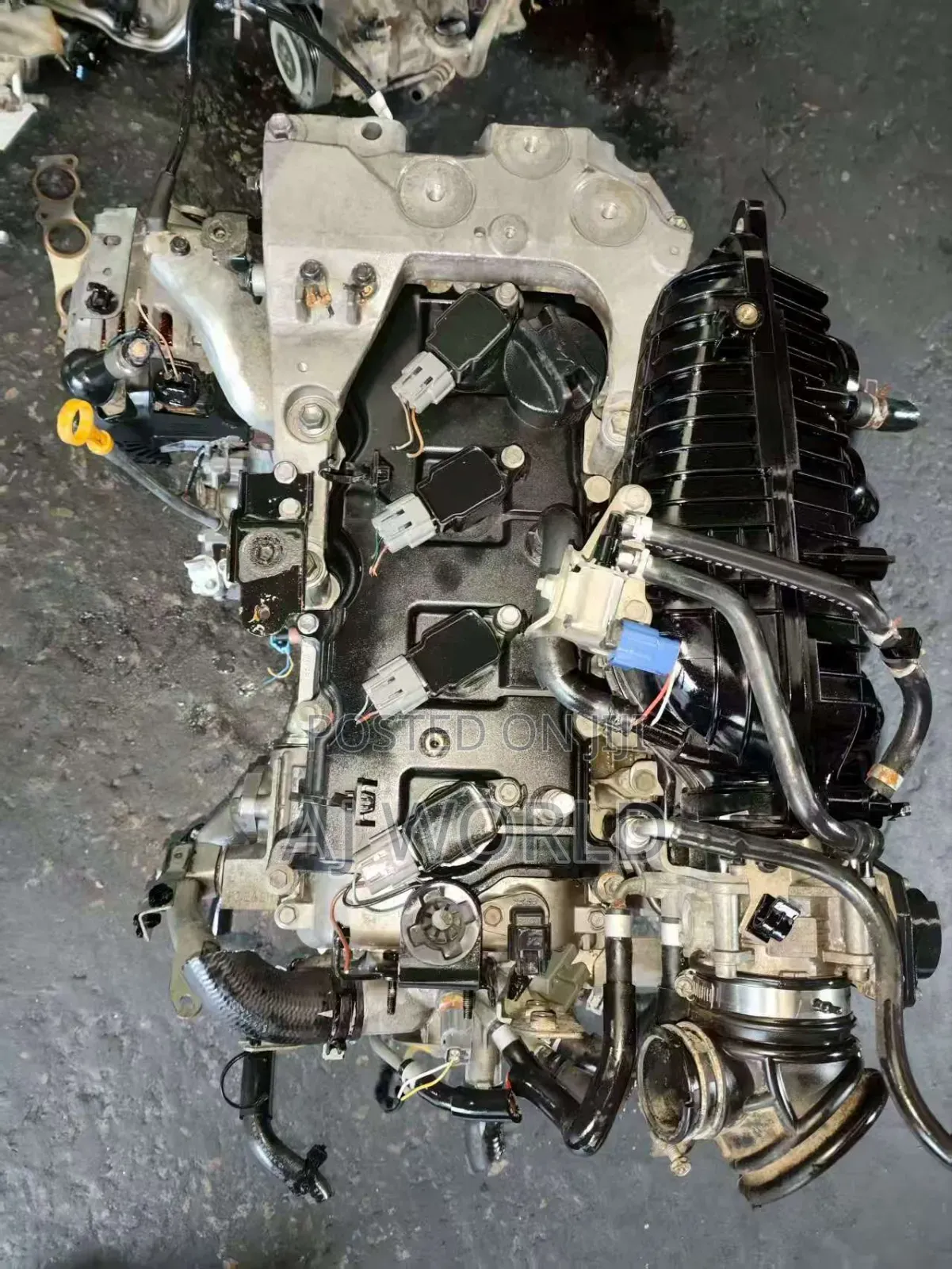 Nissan Rogue/Altima/Sentra /Xtrial