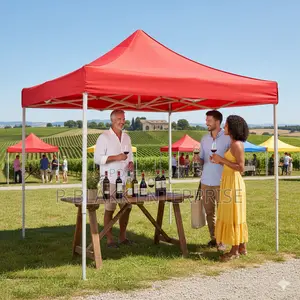 10x10ft Foldable Canopy For Outdoor