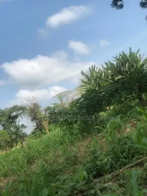 Farm Land Sunyani Odumase