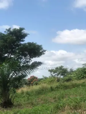 Farm Land Sunyani Odumase