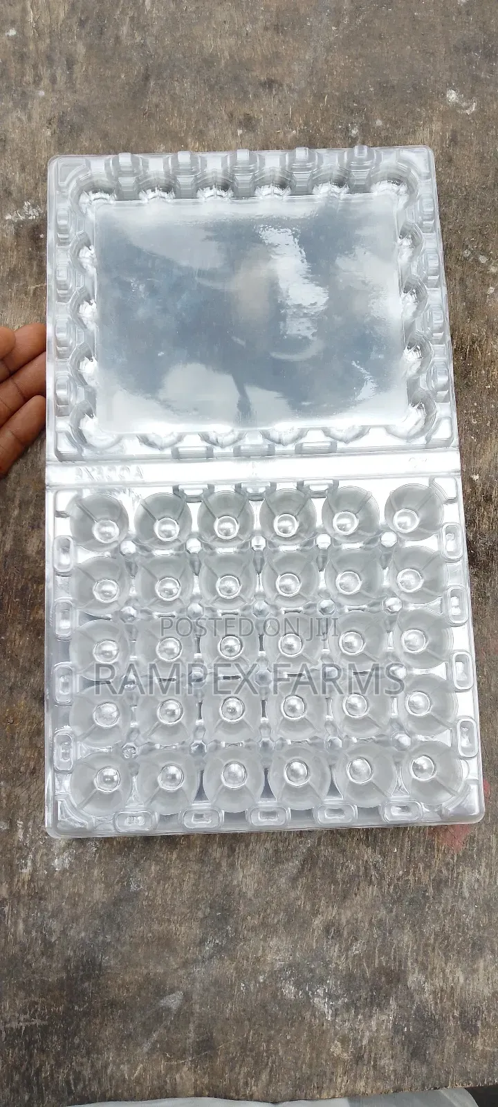 Quail Egg Crates