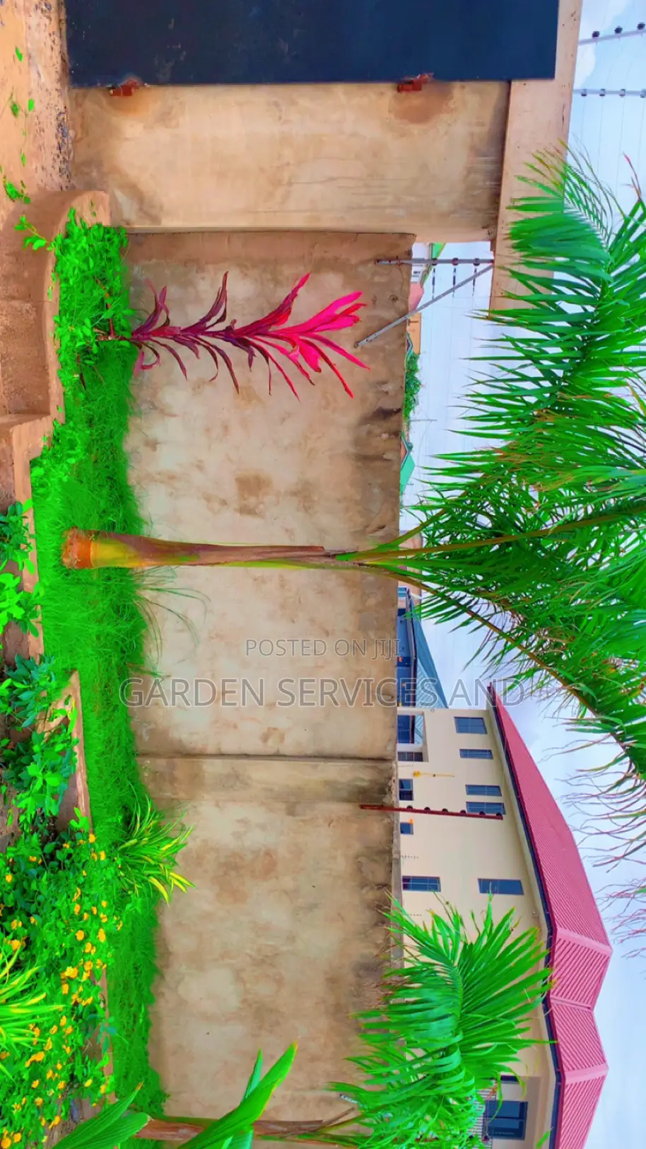 Royal Palms Available