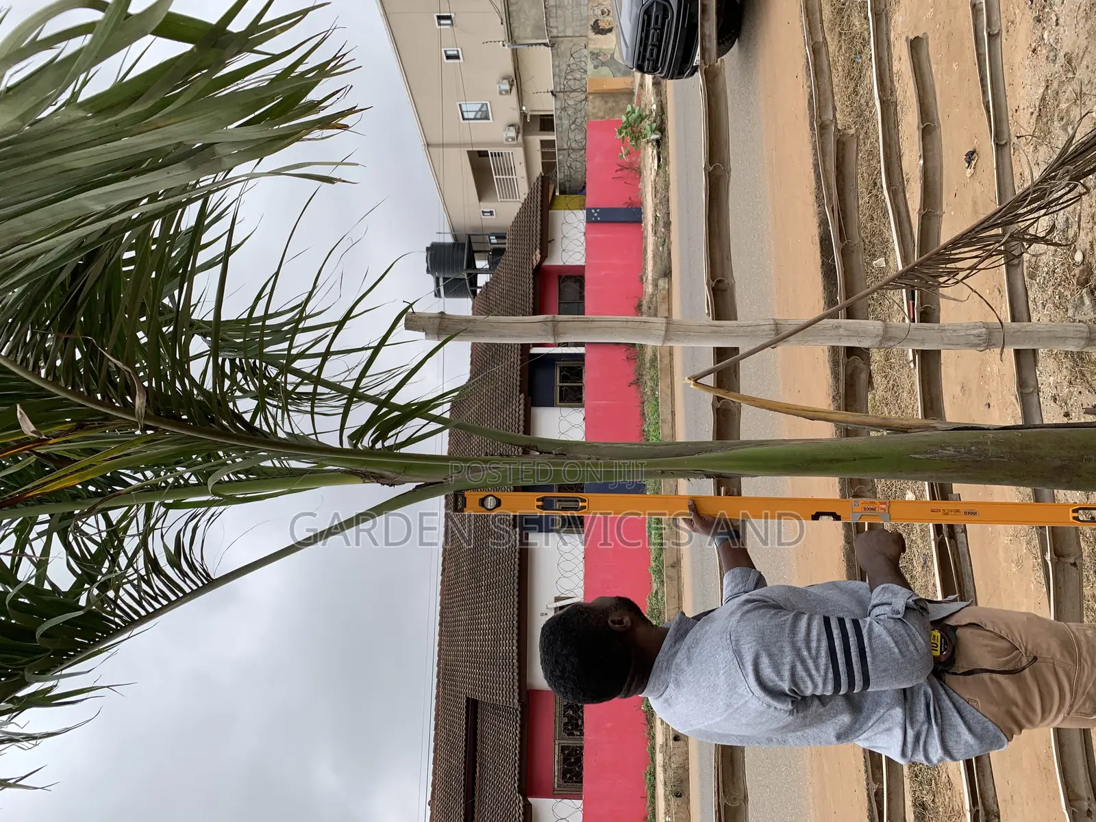 Royal Palms Available