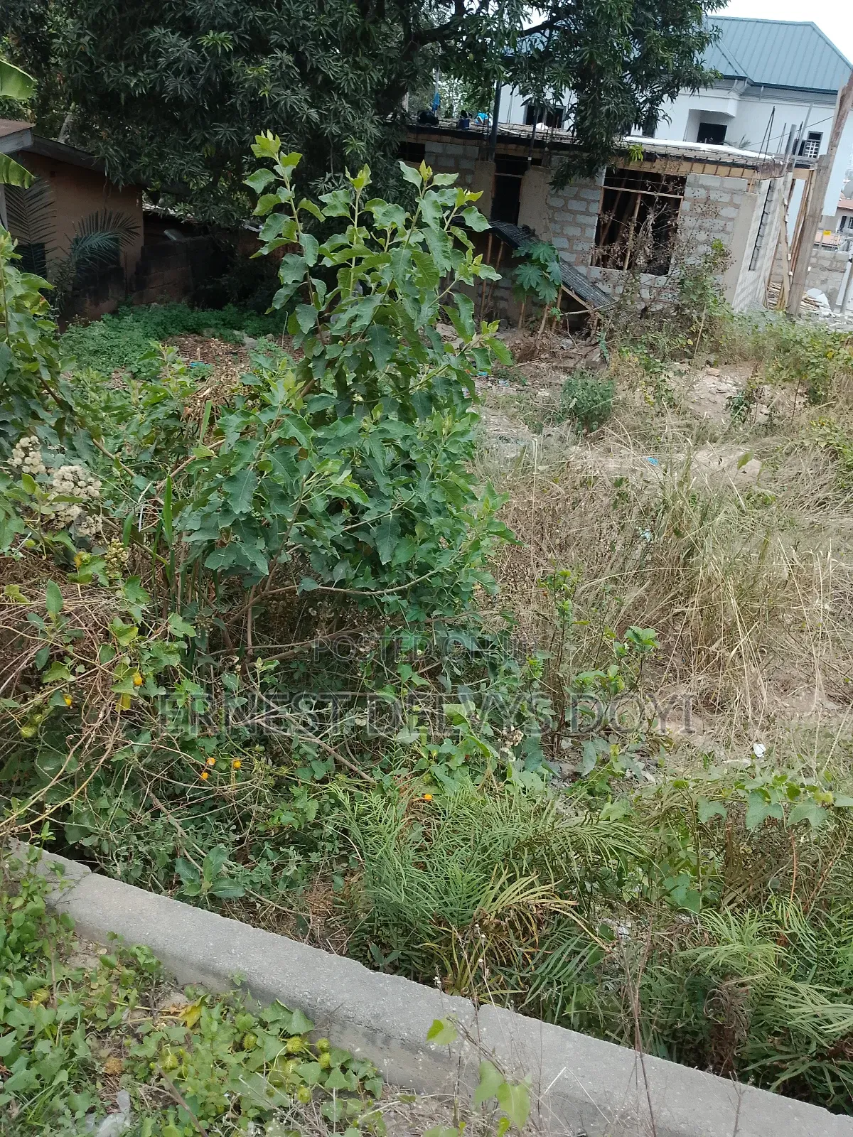 Half Plot for Sale at Kwabenya - Adzoa Sarfo Junction
