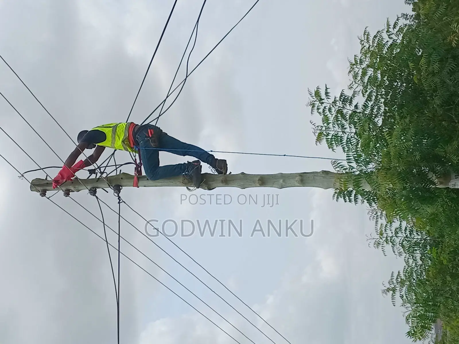 Favour Anointed Electrical Engineering