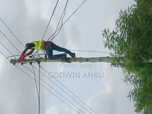 Favour Anointed Electrical Engineering