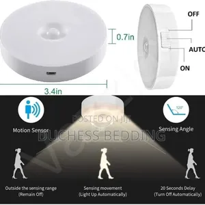 Motion Sensor Light