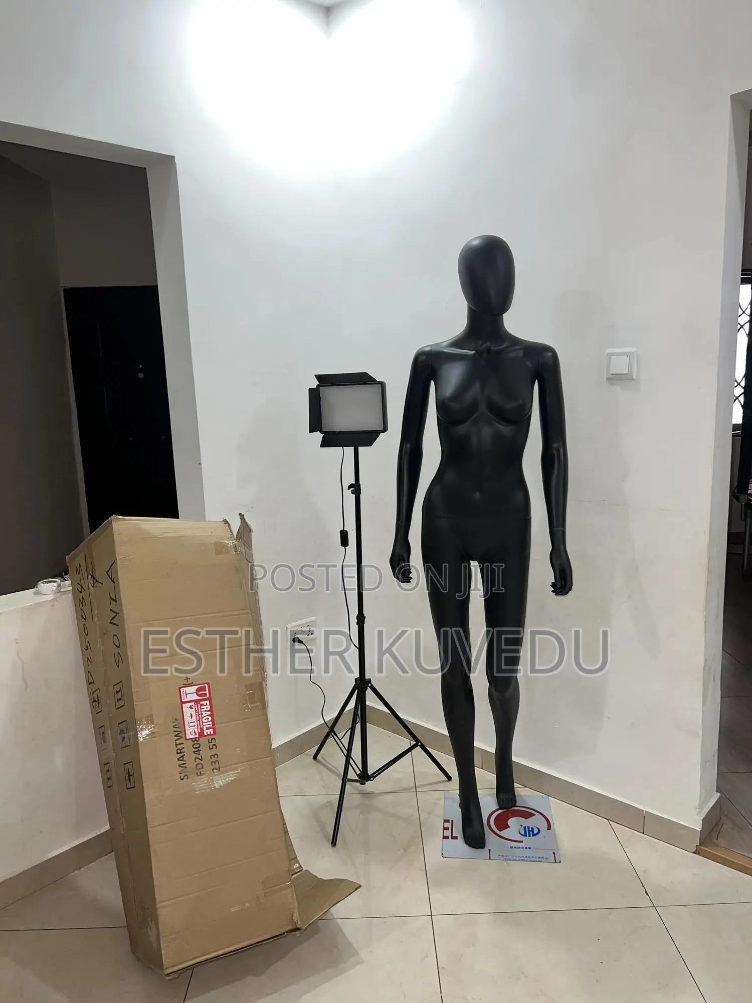 Mannequin And Light