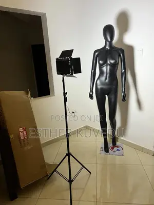 Mannequin And Light